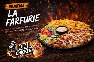 Shaorma farfurie XL