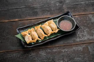 Tuna gyoza