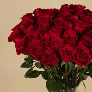 Ramo de 50 rosas rojas frescas 