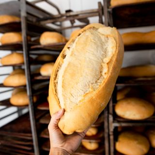 Medio Miga Dura 500 G