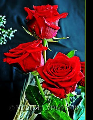 Ramo tres rosas rojas