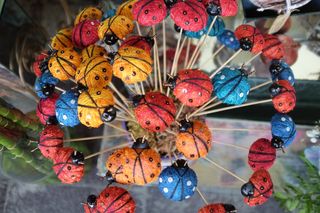 აქსესუარი ჭიამაია