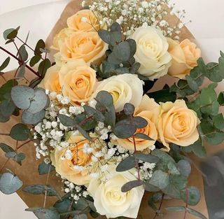 ვარდი ევკალიპტი გიფსოფილა