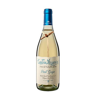 582 Pinot Grigio Zaccagnini