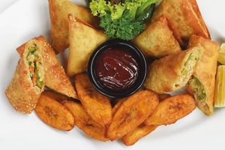 Samosa & Spring Roll Platter