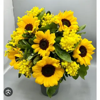 Campo di girasoli