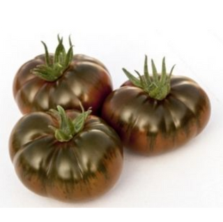 Tomate Iberiko Peso Estimado  500 Gr.