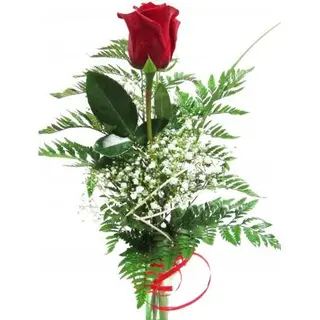 Una rosa roja Delux