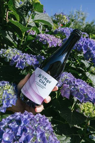 Kombucha La Perla 375ml