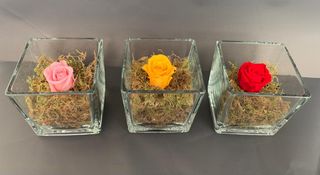 Cubo com Rosa Eterna