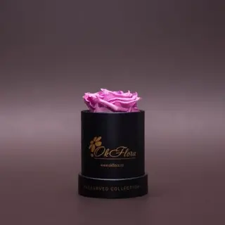 Trandafir criogenat mov în mini-cutie neagră