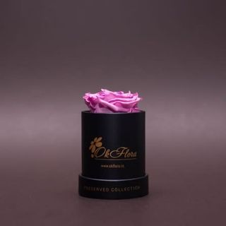 Trandafir criogenat mov în mini-cutie neagră