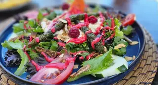 Salada de Burrata com Framboesas Silvestres