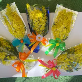 Bustine con Mimosa