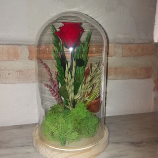 Rosa Preservada Eterna En Cúpula De Cristal tamaño grande
