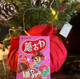 Biscotti con copertura al cioccolato