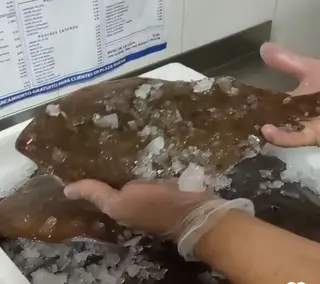 Lenguado A La Plancha