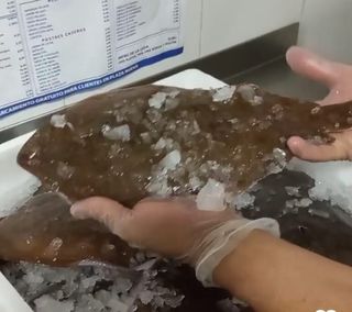 Lenguado A La Plancha