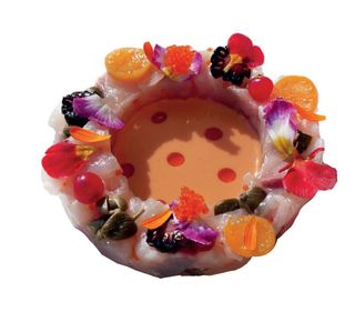 558. Tartare di spigola
