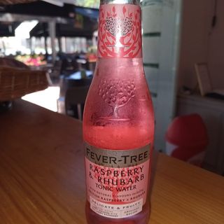 Fevertree Raspberry