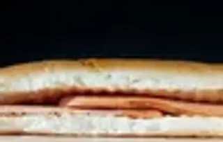 Maxi big dog