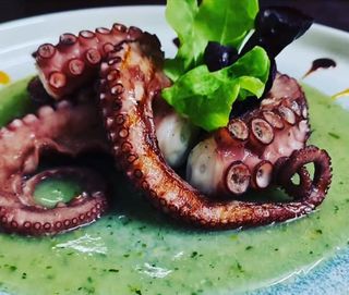 Code di polpo grill su vellutata di zucchine