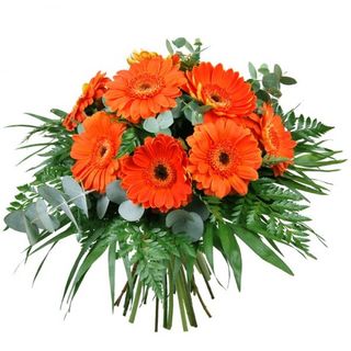 RAMO DE GERBERAS NARANJA 