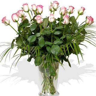 Ramo de 18 rosas color rosa.