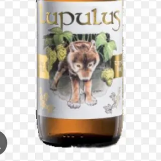 Birra 75 cl
