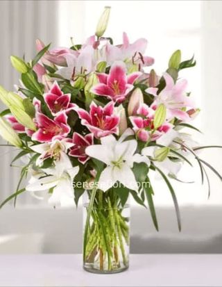 consegna mazzo 5 lilium assortiti piccolo 