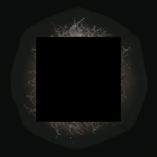 Лайм парт  (150г)