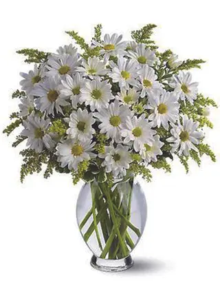 Bouquet margherite bianche