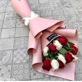 Red white vip 51