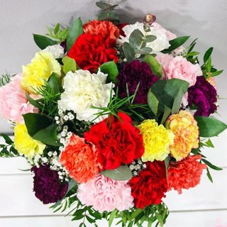 Ramo claveles coloridos
