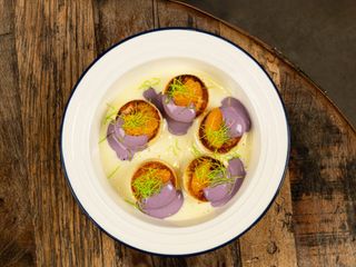 Сирники з фіалковою сметаною