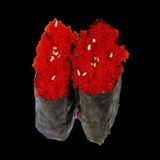 Gunkan Tobiko (2 Uds.)