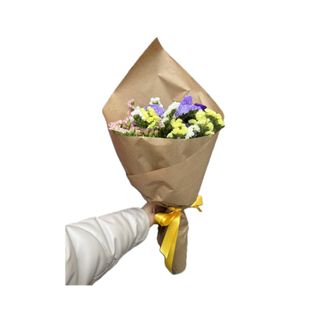 Statice variado em papel kraft 