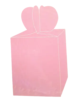 Caixa Box Rosa Lisa para Doces