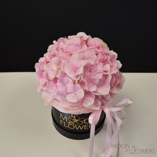 Cutie neagră cu hortenzie roz