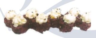 U29 Black sake - 8 pezzi