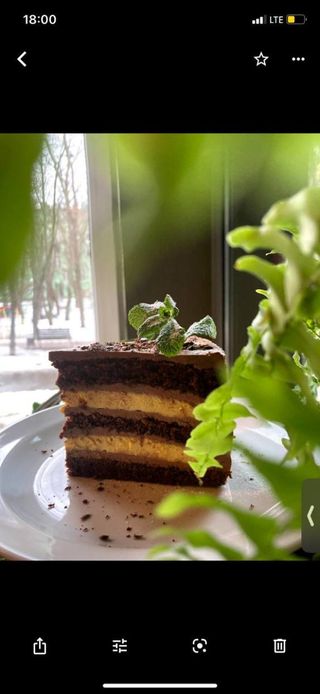 Шоколадний торт (160г)