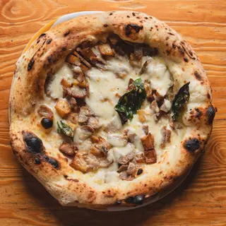 Potenta