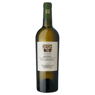 FALANGHINA