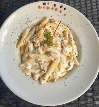 Pasta Chicken alfredo  500 gr