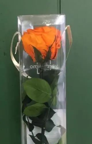 Rosa Preservada Naranja