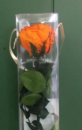 Rosa Preservada Naranja