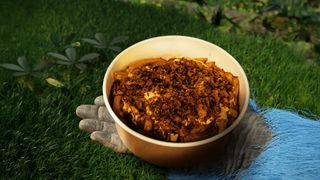 Cheddar & Crunchy Onion Loaded Fries