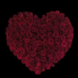 101 Giant Heart