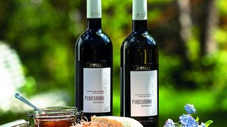 Winery Gevelli - Pirosmani red