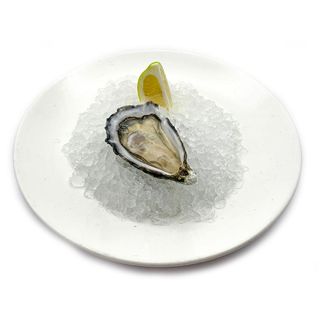 Ostra Daniel Sorlut nº2 ud